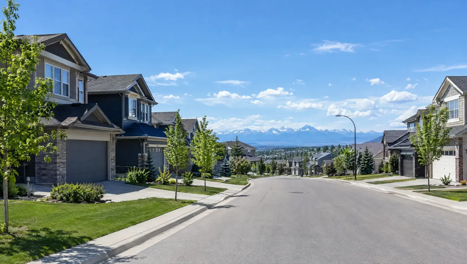A sunny residential street in Calgary