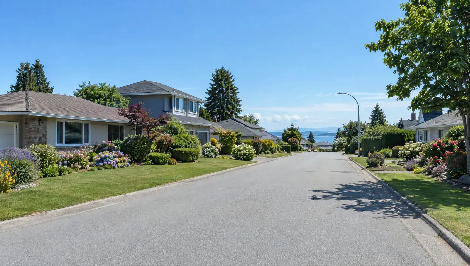 A sunny residential street in Delta