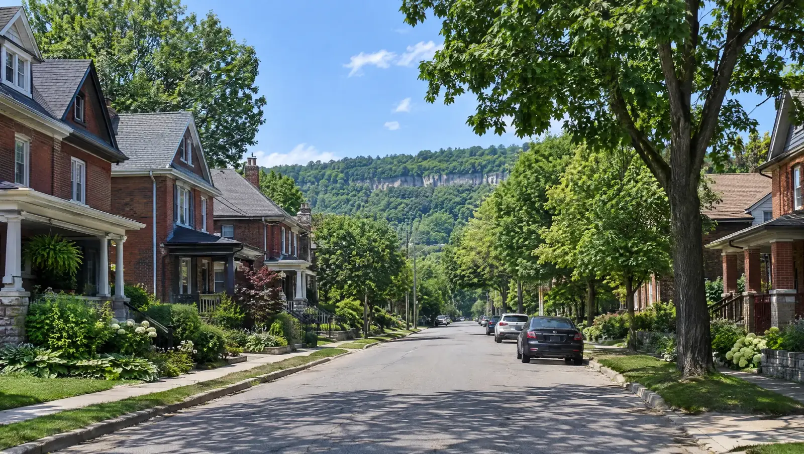 A sunny residential street in Hamilton