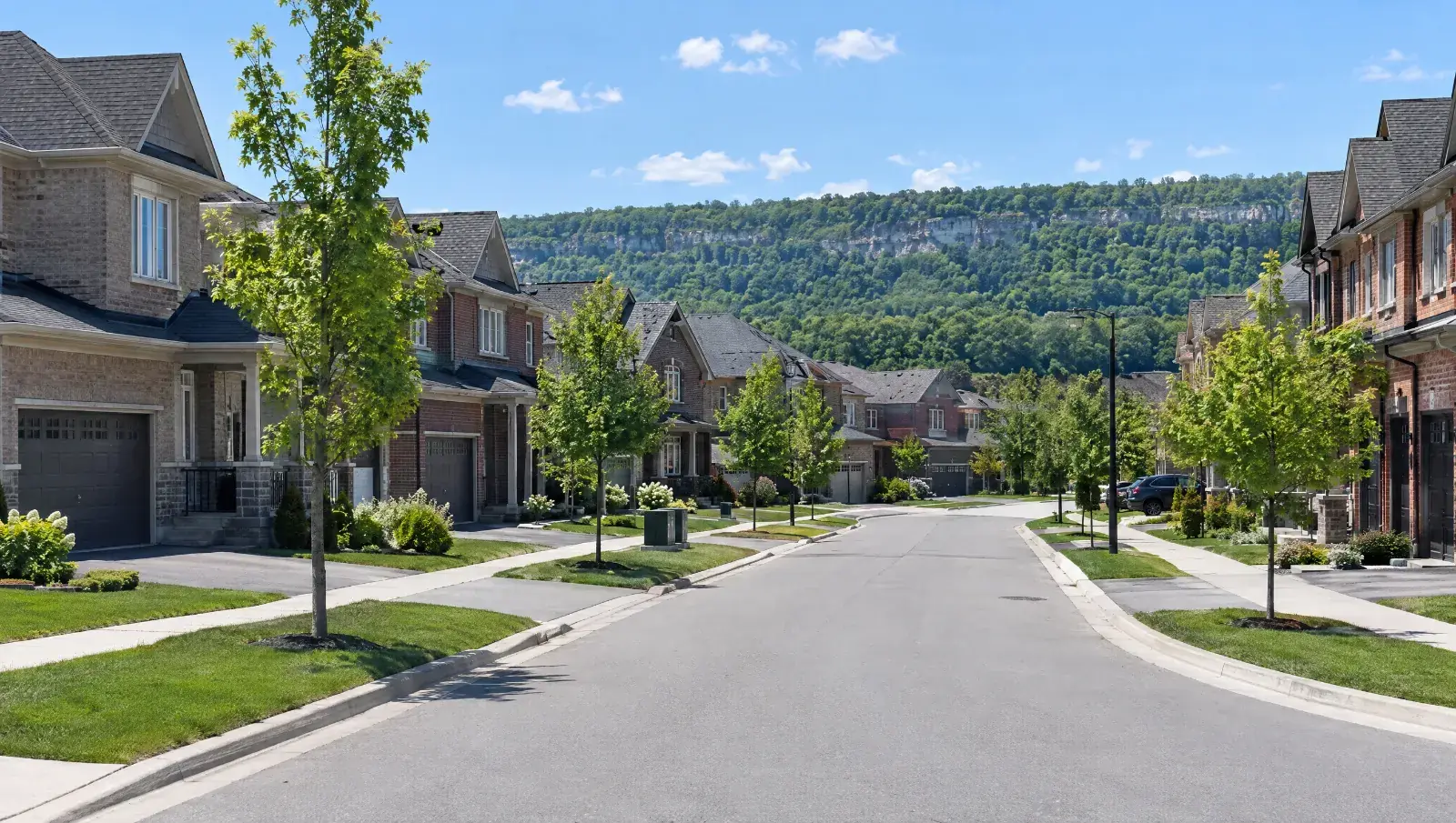 A sunny residential street in Milton