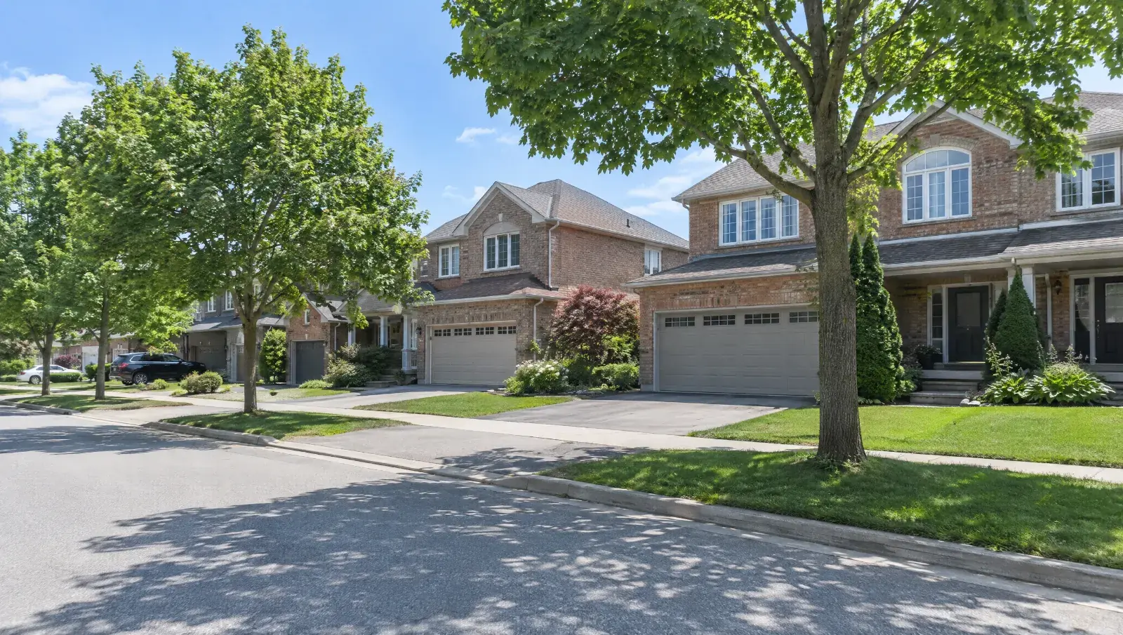 A sunny residential street in Mississauga