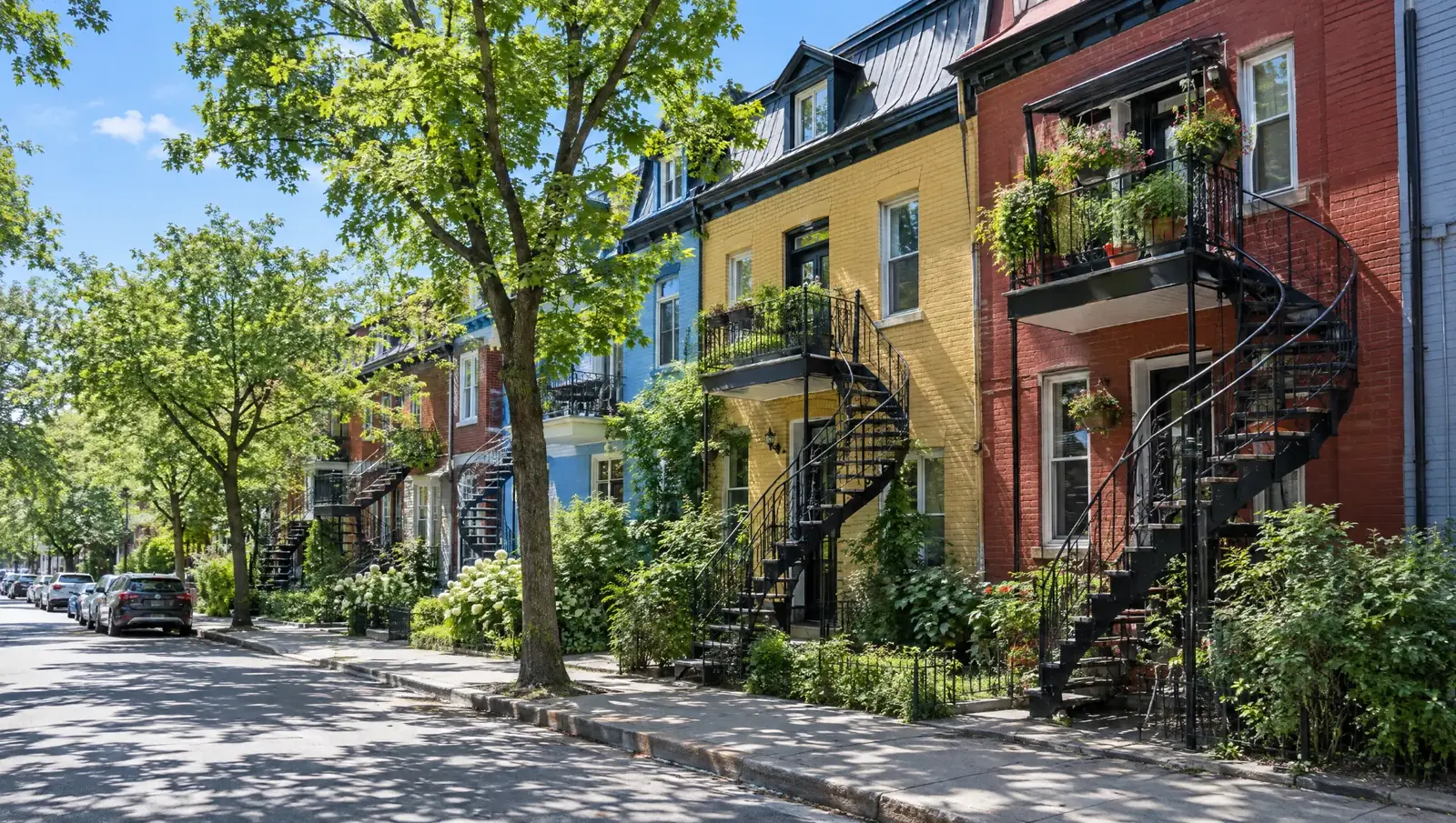 A sunny residential street in Montreal