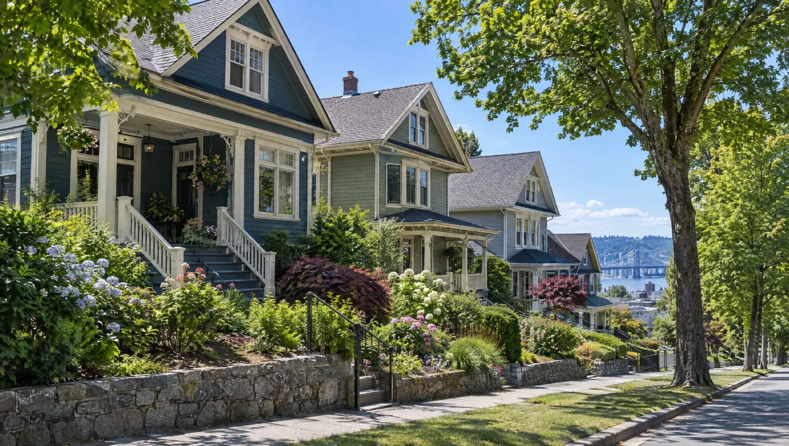A sunny residential street in New Westminster