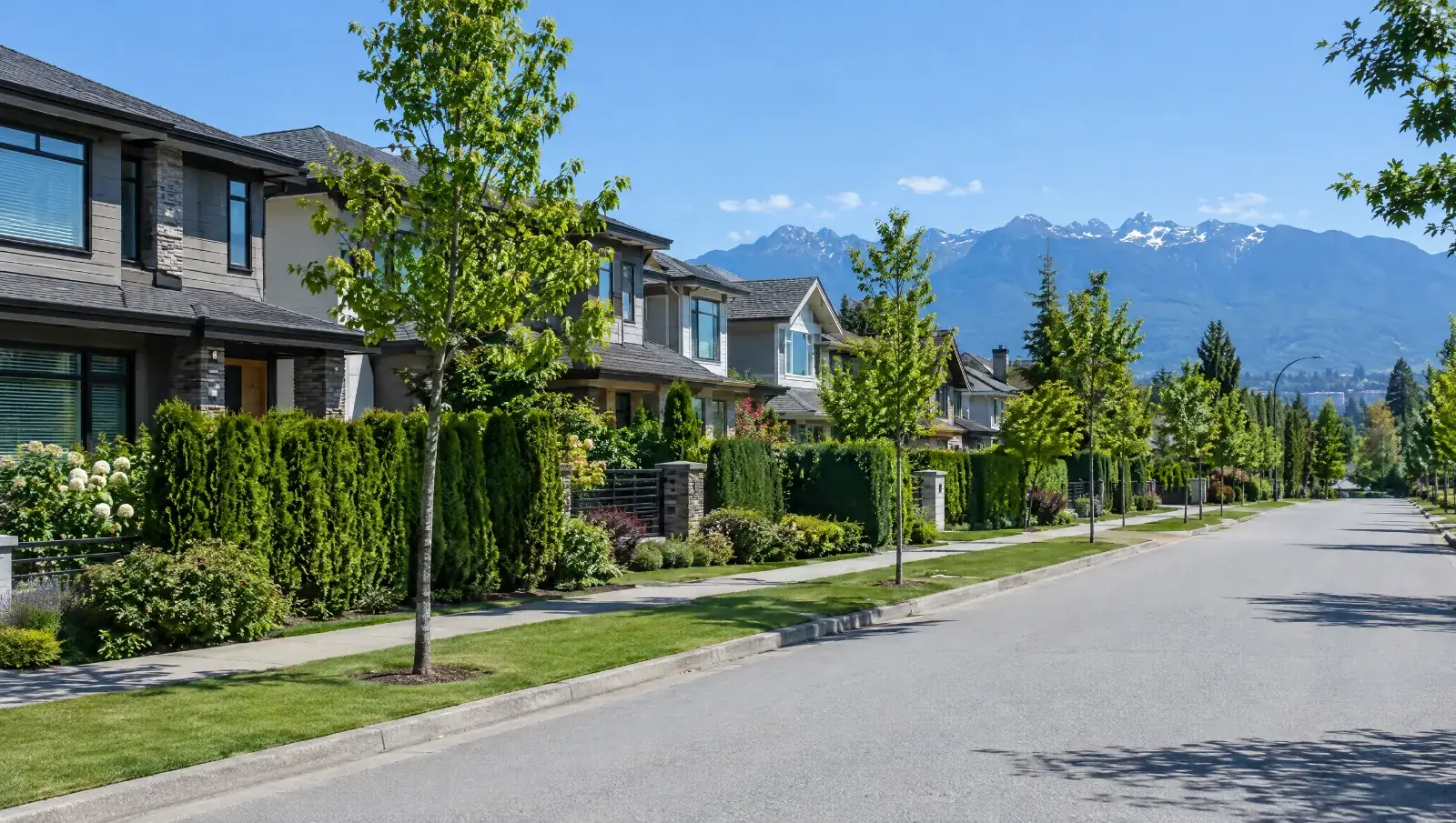 A sunny residential street in Richmond