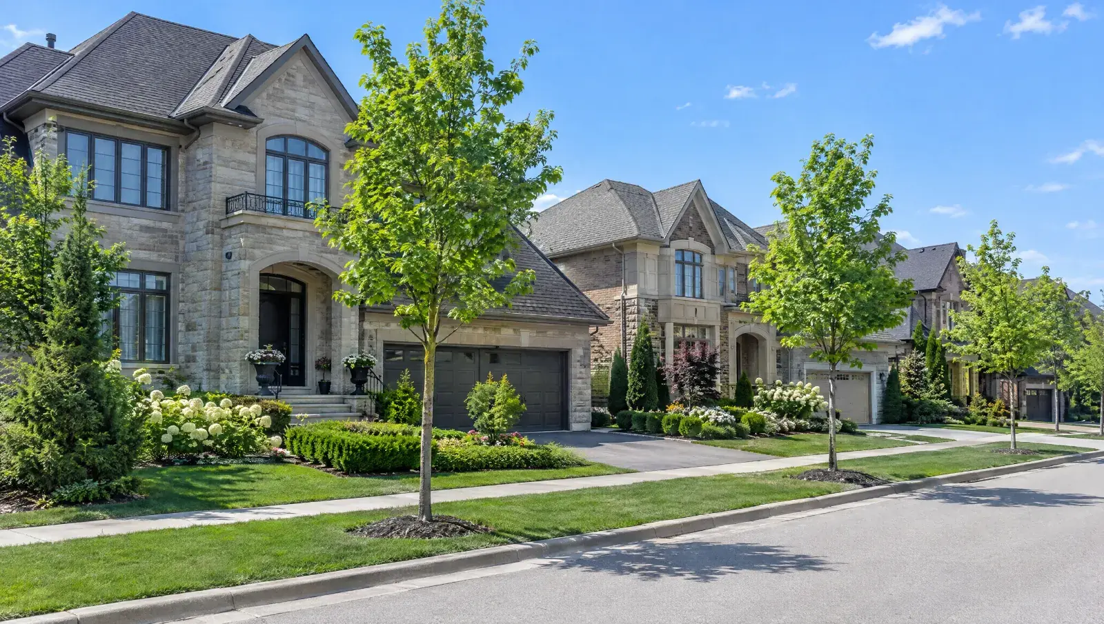 A sunny residential street in Vaughan