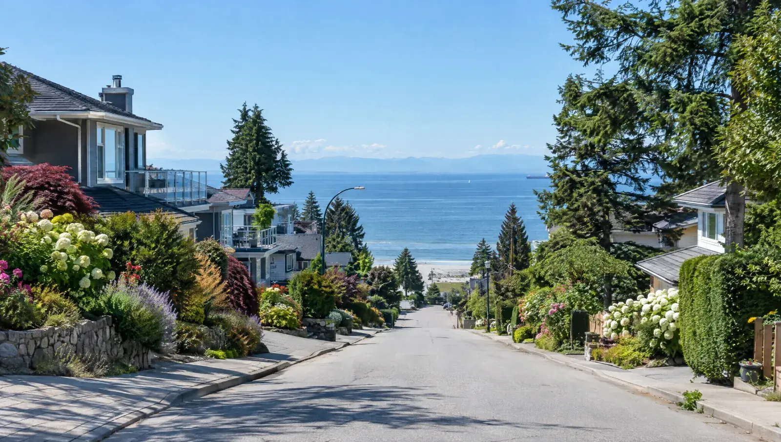 A sunny residential street in White Rock